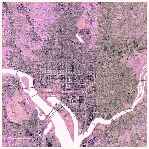 Pink Washington DC Mini Scarf for Gun Control